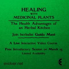 Healing with Medicinal Plants - Free Introductory Session