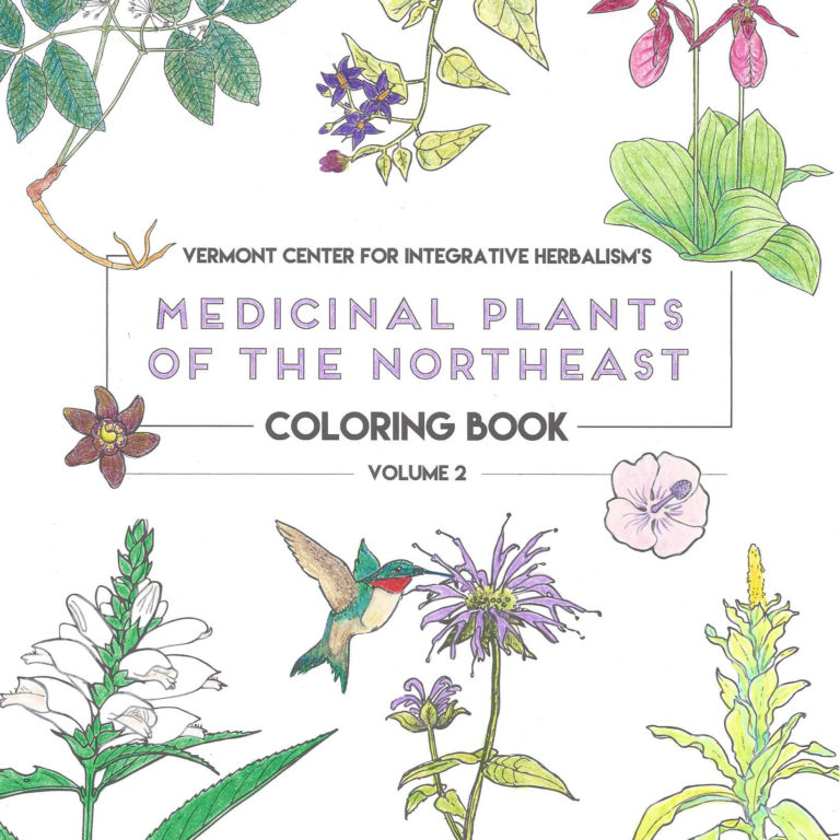 VCIH’s Medicinal Plants of the Northeast Coloring Books Make Great