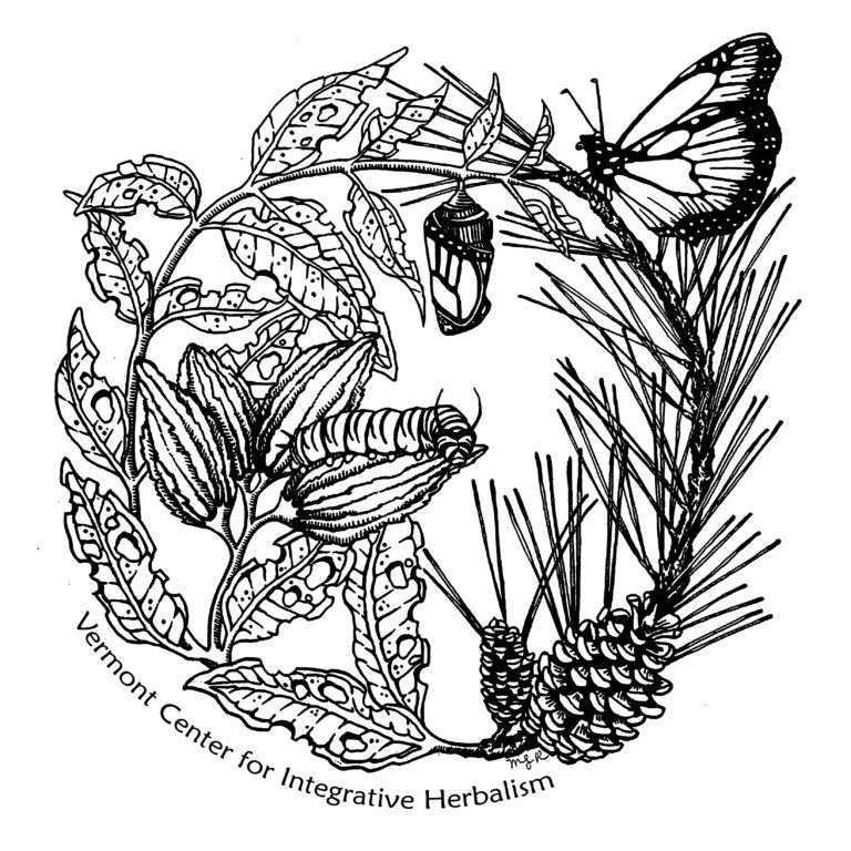 Herbal Medicine School, Clinics, & Classes Vermont Center for